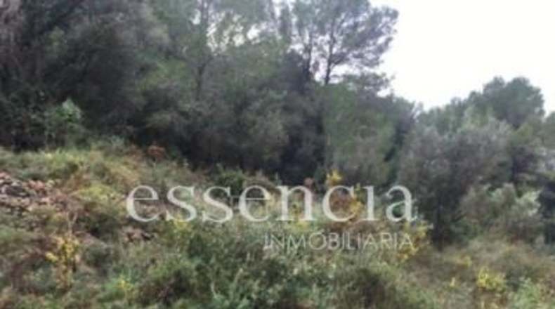 València - Oliva - 645479m2