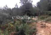 Non-developable land for sale on España, Oliva, ref: TR119189 photo