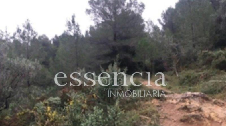 València - Oliva - 645479m2