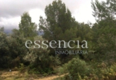 Non-developable land for sale on España, Oliva, ref: TR119189 photo