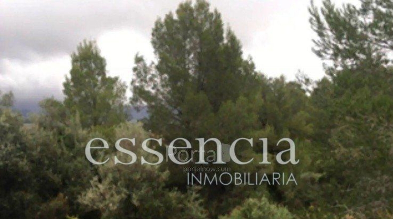 València - Oliva - 645479m2