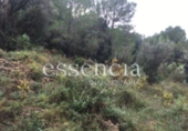 Non-developable land for sale on España, Oliva, ref: TR119189 photo