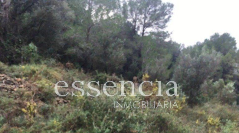València - Oliva - 645479m2