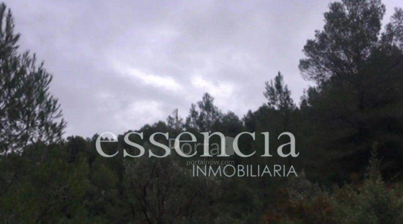 València - Oliva - 645479m2