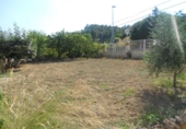 House with land for sale on España, Torrelles de Foix, ref: TR296480 photo