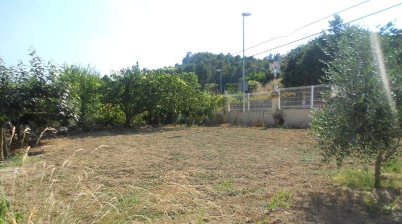 Barcelona - Torrelles de Foix - 500m2