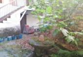 Casa de camp amb terreny en venda a la España, Cubillos del Sil, ref.: TR294562 foto
