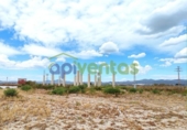 Non-developable land for sale on España, Lorca, ref: TR119978 photo