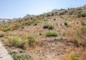 Land suitable for development for sale on España, La Zubia, ref: TR237974 photo
