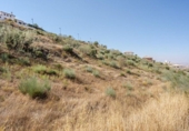 Land suitable for development for sale on España, La Zubia, ref: TR237974 photo