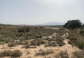 Xalet independent amb terreny en venda a la España, Vera, ref.: TR295807 foto
