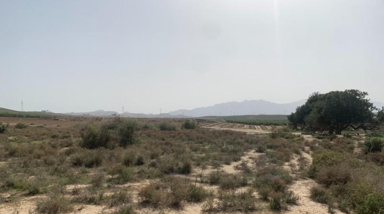 Almería - Vera - 11231m2