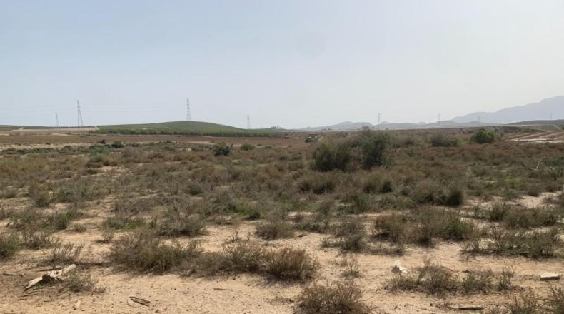 Almería - Vera - 11231m2
