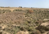 Xalet independent amb terreny en venda a la España, Vera, ref.: TR295807 foto