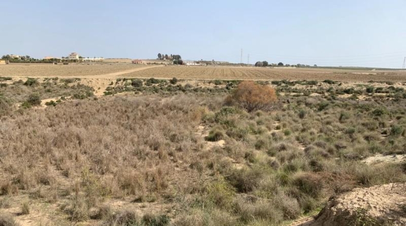 Almería - Vera - 11231m2
