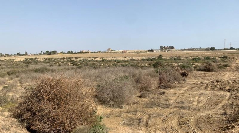 Almería - Vera - 11231m2