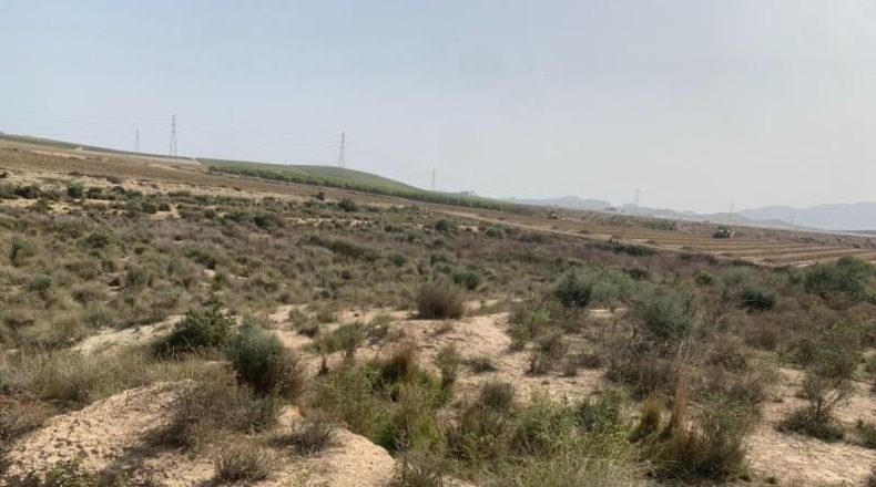Almería - Vera - 11231m2