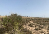 Xalet independent amb terreny en venda a la España, Vera, ref.: TR295807 foto