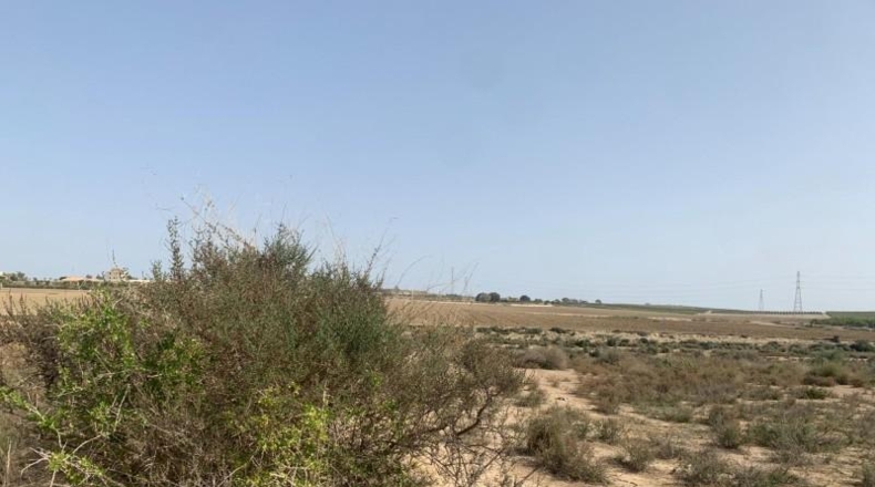 Almería - Vera - 11231m2