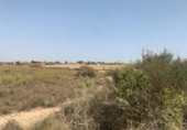Xalet independent amb terreny en venda a la España, Vera, ref.: TR295807 foto