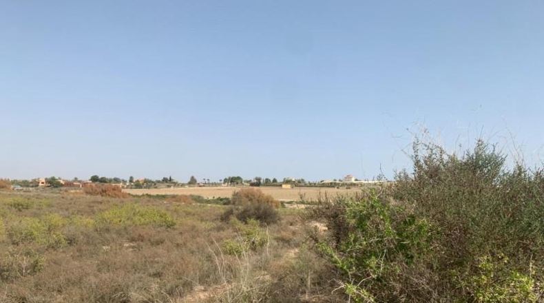 Almería - Vera - 11231m2
