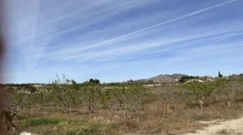 Alicante - Novelda - 10700m2