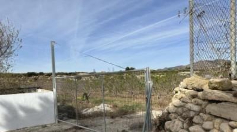 Alicante - Novelda - 10700m2