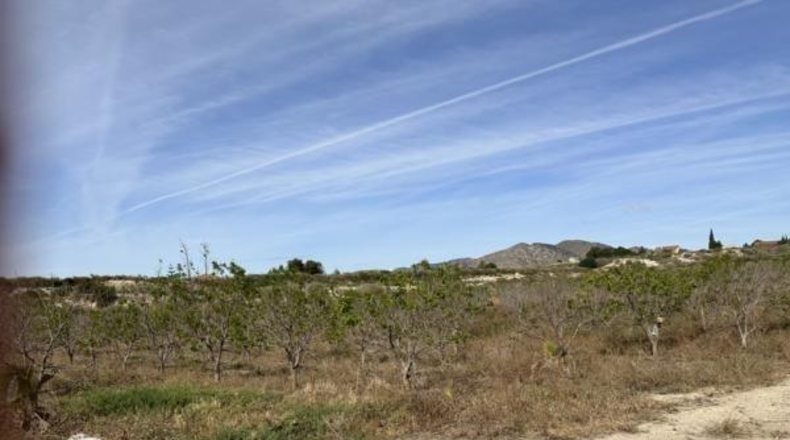 Alicante - Novelda - 10700m2