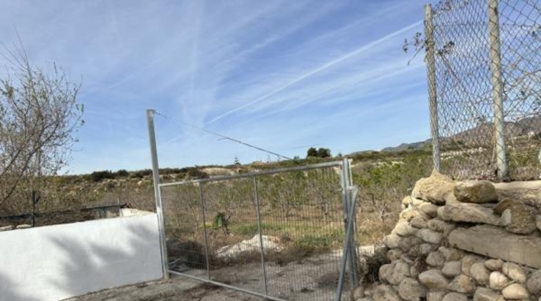 Alicante - Novelda - 10700m2