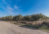 Casa amb terreny en venda a la España, Chauchina, ref.: TR296123 foto