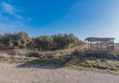 Casa amb terreny en venda a la España, Chauchina, ref.: TR296123 foto