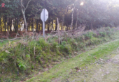Parcel·la urbanitzable en venda a la España, O Casal de Reis, ref.: TR116404 foto