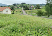 Urban land for sale on España, Penagos, ref: TR116817 photo
