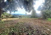 Parcela urbanizable en venta en la España, La Pobla de Vallbona, ref: TR376835 foto