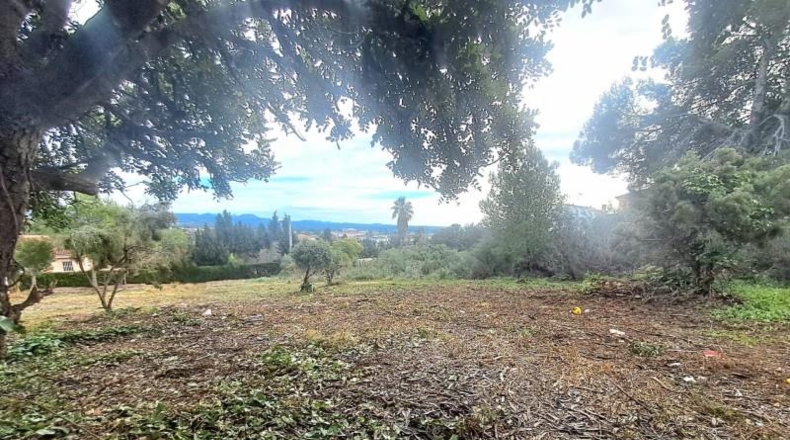 Valencia - Puebla de Vallbona - 1814m2