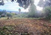Parcela urbanizable en venta en la España, La Pobla de Vallbona, ref: TR376835 foto