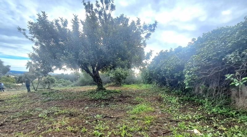 Valencia - Puebla de Vallbona - 1814m2
