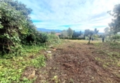 Parcela urbanizable en venta en la España, La Pobla de Vallbona, ref: TR376835 foto