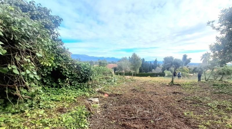 Valencia - Puebla de Vallbona - 1814m2