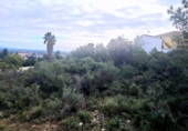 Parcela urbanizable en venta en la España, La Pobla de Vallbona, ref: TR376835 foto