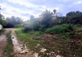 Parcela urbanizable en venta en la España, La Pobla de Vallbona, ref: TR376835 foto