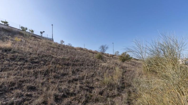 Granada - La Zubia - 780m2