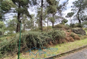 Cadalso de los Vidrios 2290&nbsp;m² 