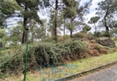 Sòl urbà en venda a la España, Cadalso de los Vidrios, ref.: TR313291 foto