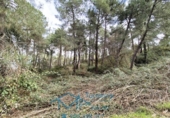 Sòl urbà en venda a la España, Cadalso de los Vidrios, ref.: TR313291 foto