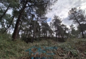 Sòl urbà en venda a la España, Cadalso de los Vidrios, ref.: TR313291 foto