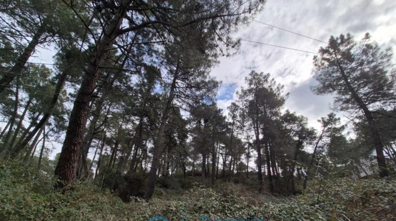 Community of Madrid - Cadalso de los Vidrios - 2290m2