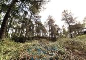 Sòl urbà en venda a la España, Cadalso de los Vidrios, ref.: TR313291 foto