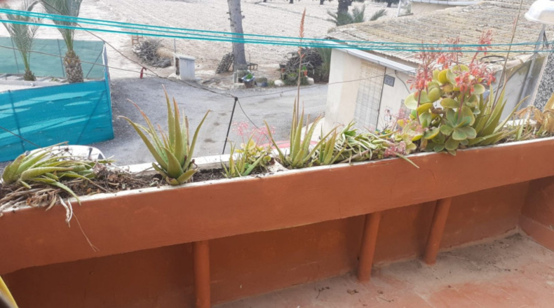 Alicante - Monforte del Cid - 2600m2