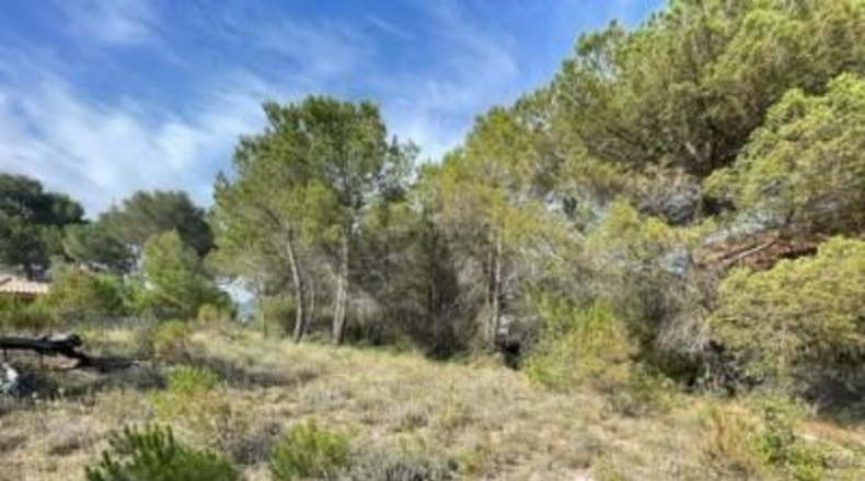 Barcelona - Carme - 807m2